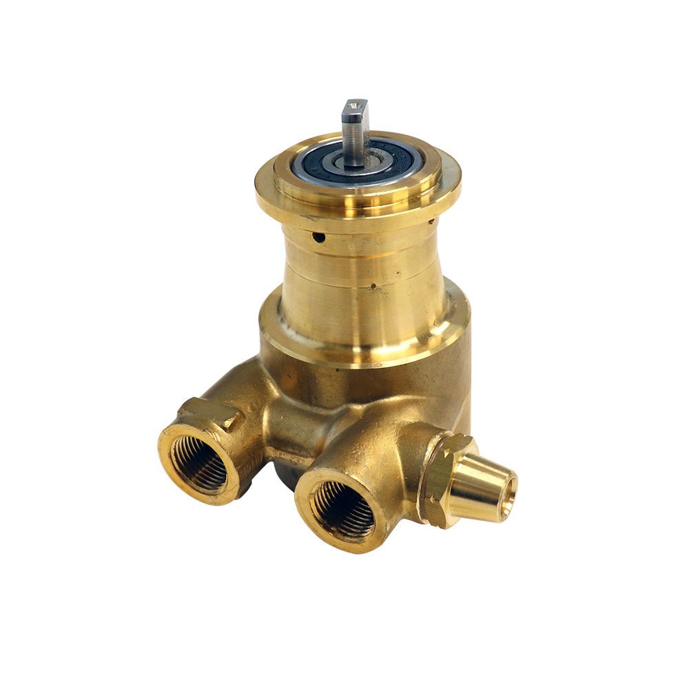 75GPH Brass Rotary Vane Pump - Beverage Time