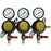 Taprite 3 Pressure 60lb Secondary Regulator with Barbed Shut-Offs - Beverage Time