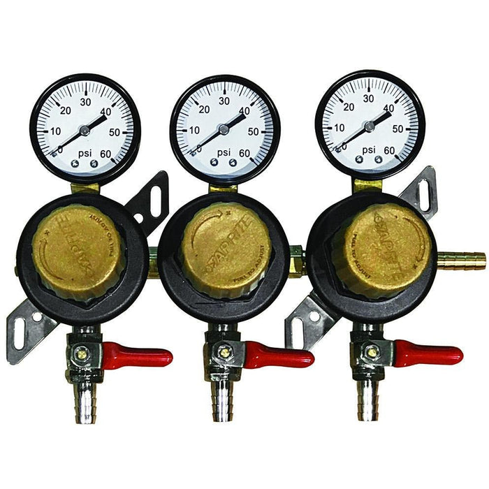 Taprite 3 Pressure 60lb Secondary Regulator with Barbed Shut-Offs - Beverage Time