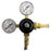 Taprite 60lb N2 Primary Regulator with Barbed Shut-Off - Beverage Time
